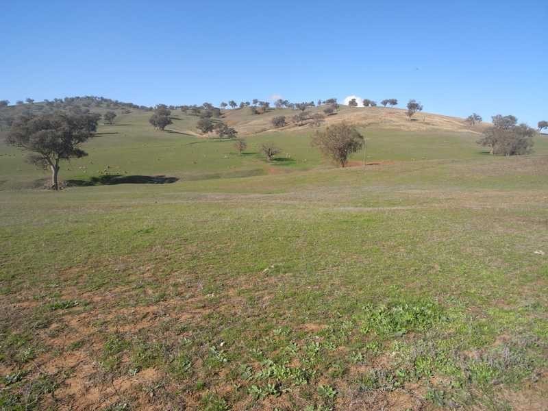 Outback Darbalara Road, Darbalara NSW 2722