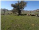 Outback Darbalara Road, Darbalara NSW 2722