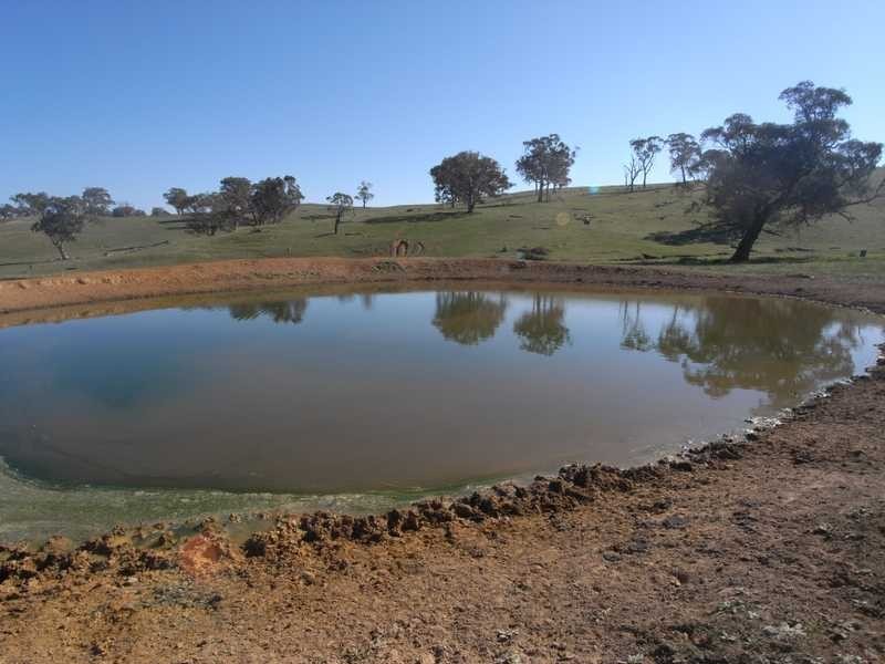 Outback Darbalara Road, Darbalara NSW 2722