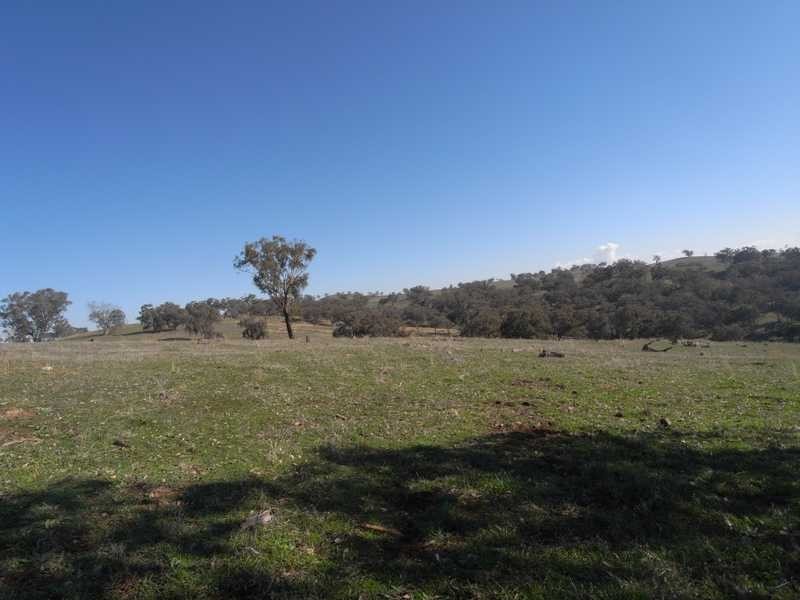 Outback Darbalara Road, Darbalara NSW 2722
