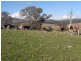 Outback Darbalara Road, Darbalara NSW 2722