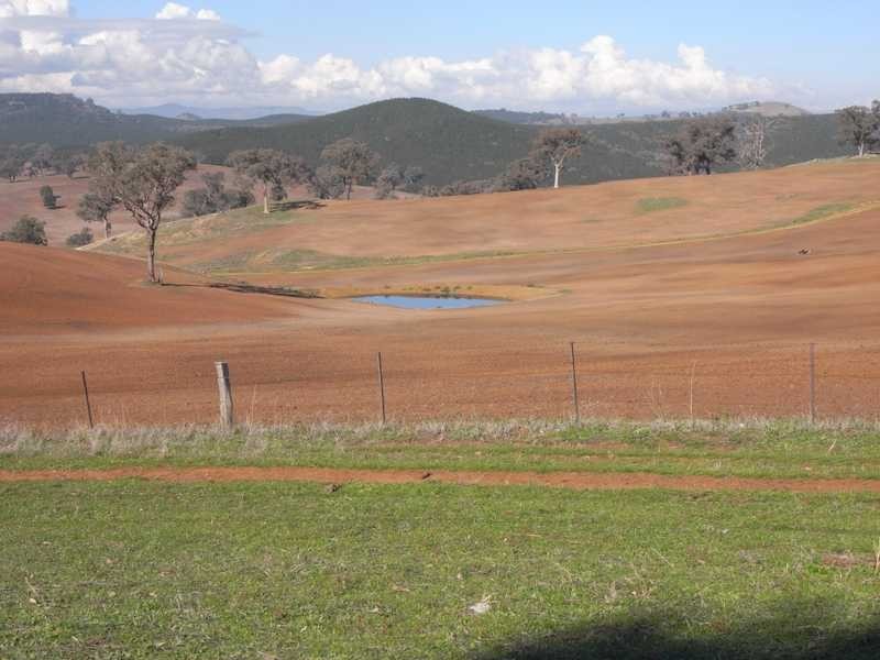 Outback Darbalara Road, Darbalara NSW 2722