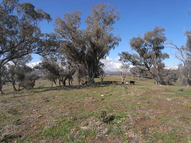 Outback Darbalara Road, Darbalara NSW 2722