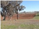 Outback Darbalara Road, Darbalara NSW 2722