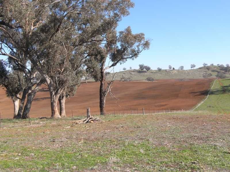 Outback Darbalara Road, Darbalara NSW 2722
