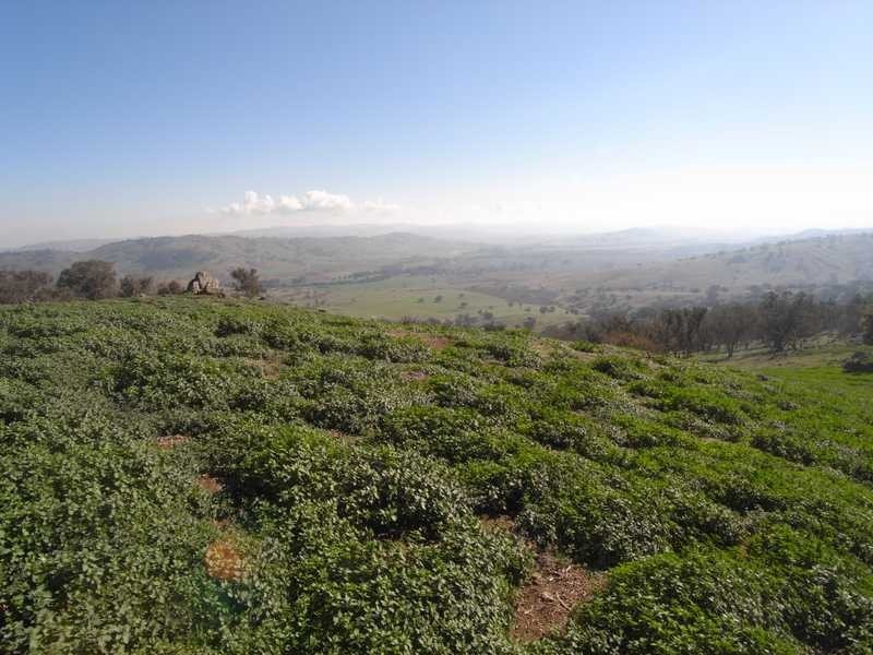 Outback Darbalara Road, Darbalara NSW 2722