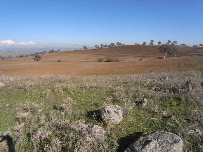 Outback Darbalara Road, Darbalara NSW 2722