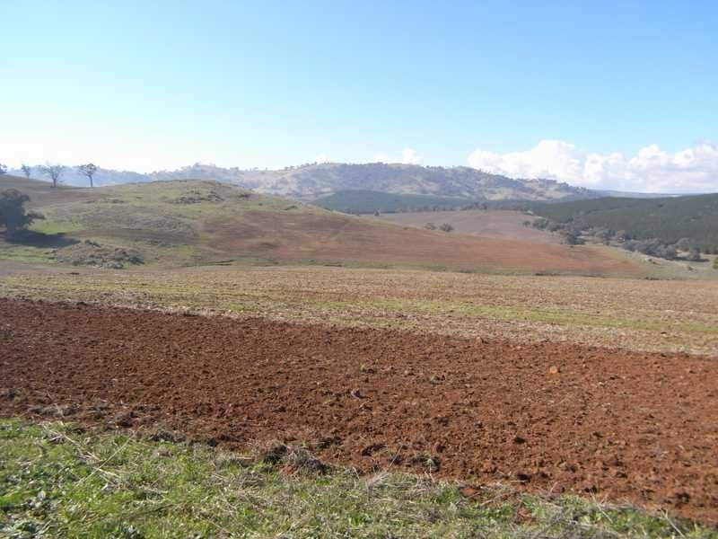 Outback Darbalara Road, Darbalara NSW 2722