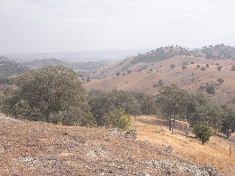 4 Gocup Road, Gundagai NSW 2722