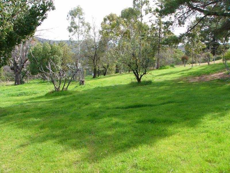 28 Byron Street, Gundagai NSW 2722