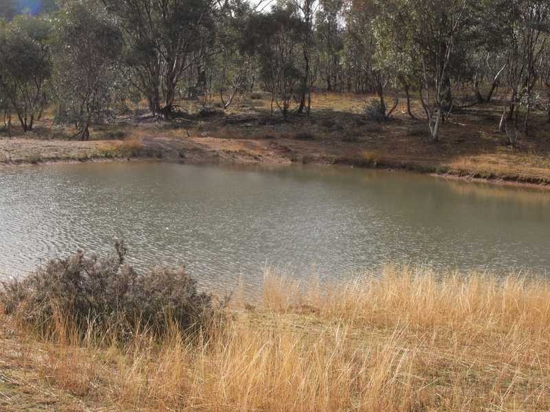 ‘Yammalong’ Yammatree Road, Gundagai NSW 2722