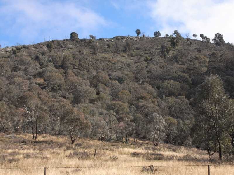 ‘Yammalong’ Yammatree Road, Gundagai NSW 2722