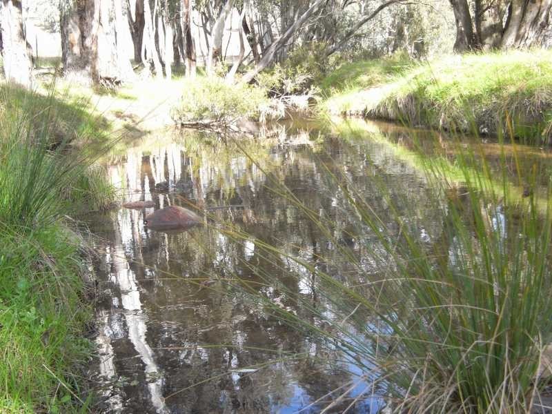 ‘Yammalong’ Yammatree Road, Gundagai NSW 2722