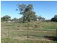 11 Billabung Street, Nangus NSW 2722