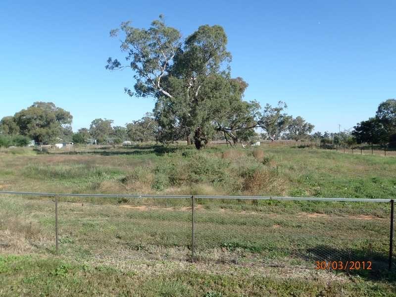 11 Billabung Street, Nangus NSW 2722