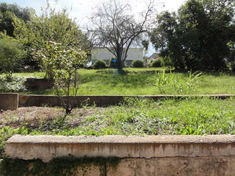 89 Sheridan Street, Gundagai NSW 2722