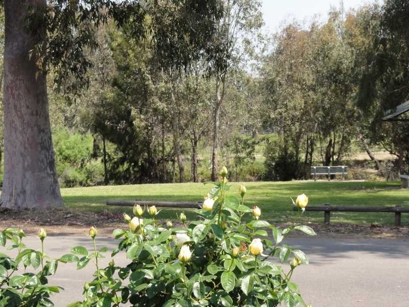 13 Sheridan Lane, Gundagai NSW 2722