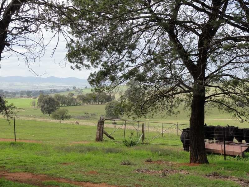 “Sugarloaf”, Wantabadgery NSW 2650