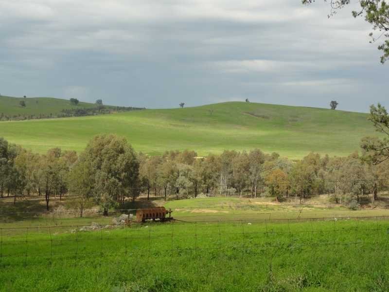 “Sugarloaf”, Wantabadgery NSW 2650