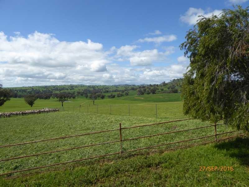 Benangaroo Farmhouse, Jugiong NSW 2726