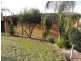 13 Francis Avenue, Gundagai NSW 2722