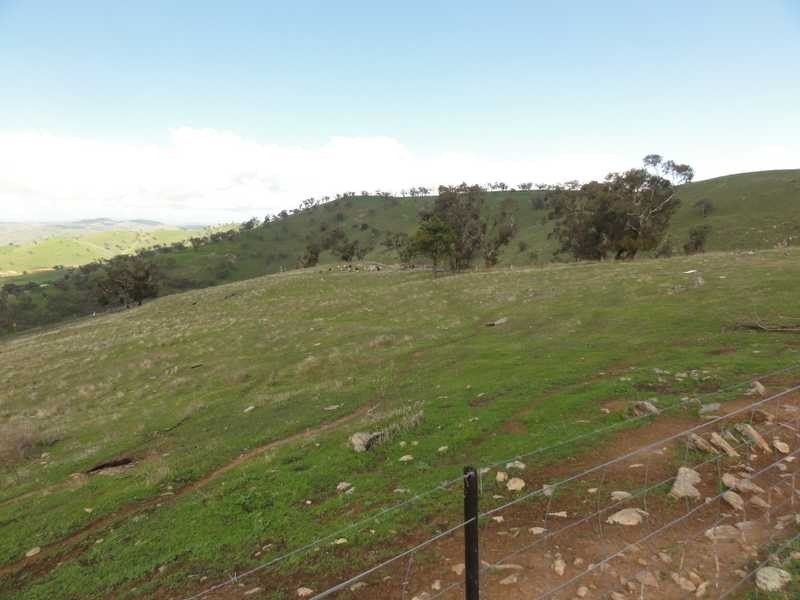 120 Reno Road, Gundagai NSW 2722