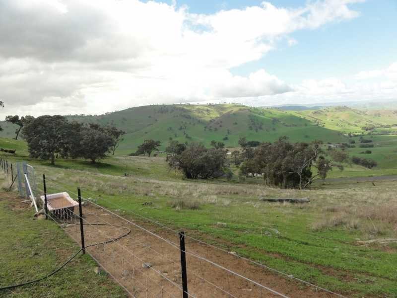 120 Reno Road, Gundagai NSW 2722