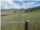 Lot 1 Happy Valley Road, Gundagai NSW 2722