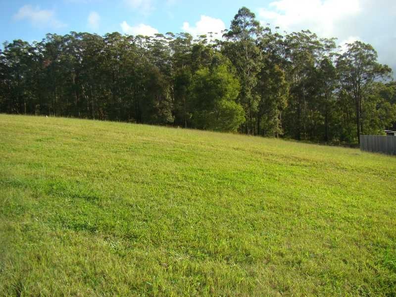 Kendall NSW 2439