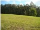 Kendall NSW 2439