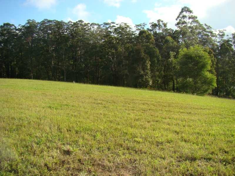 Kendall NSW 2439