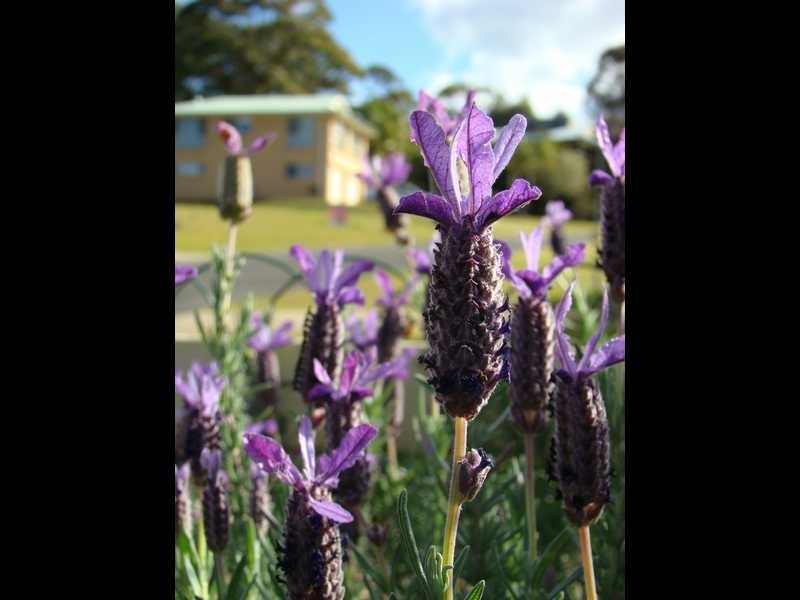 Bonny Hills NSW 2445