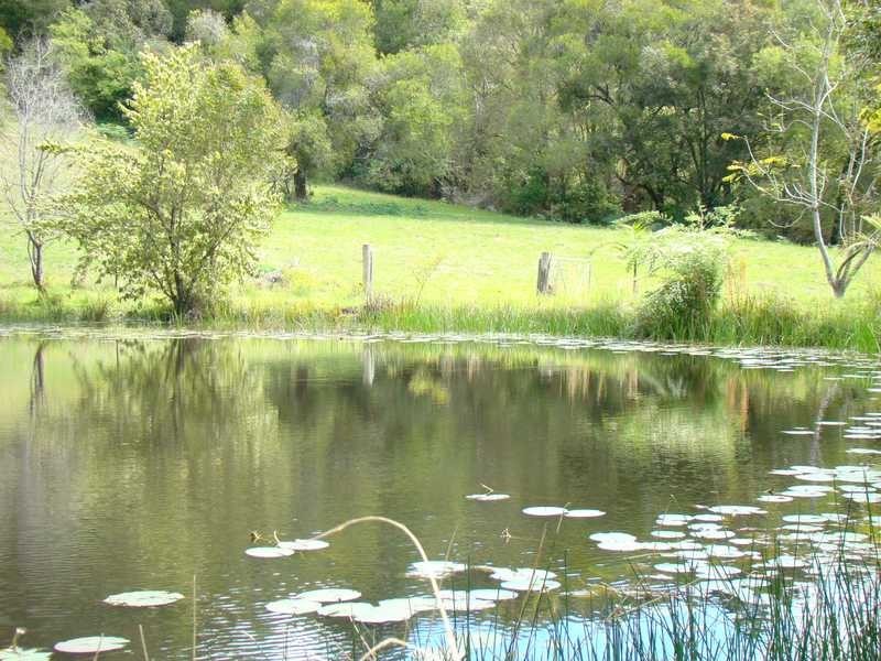 Stewarts River NSW 2443