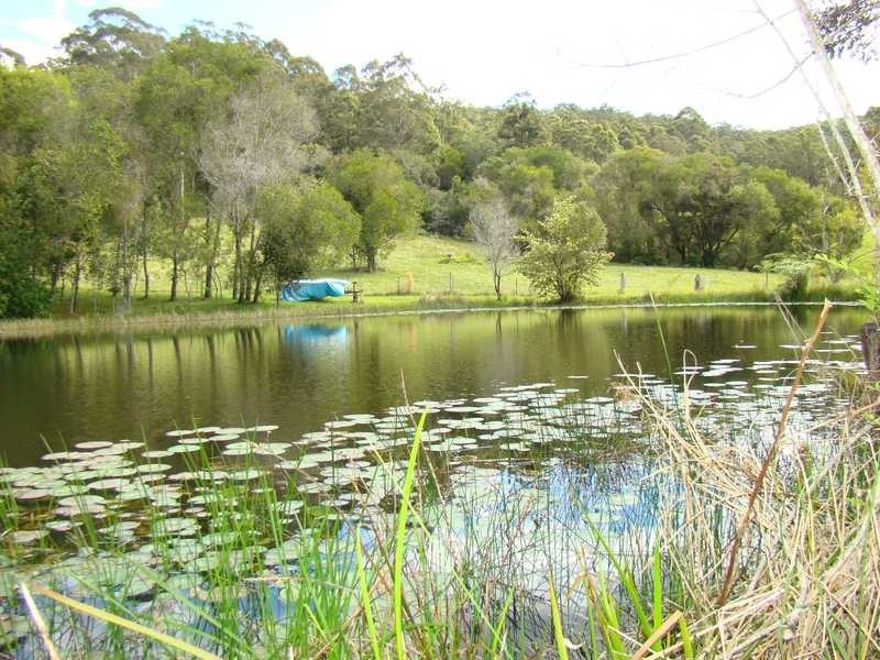 Stewarts River NSW 2443