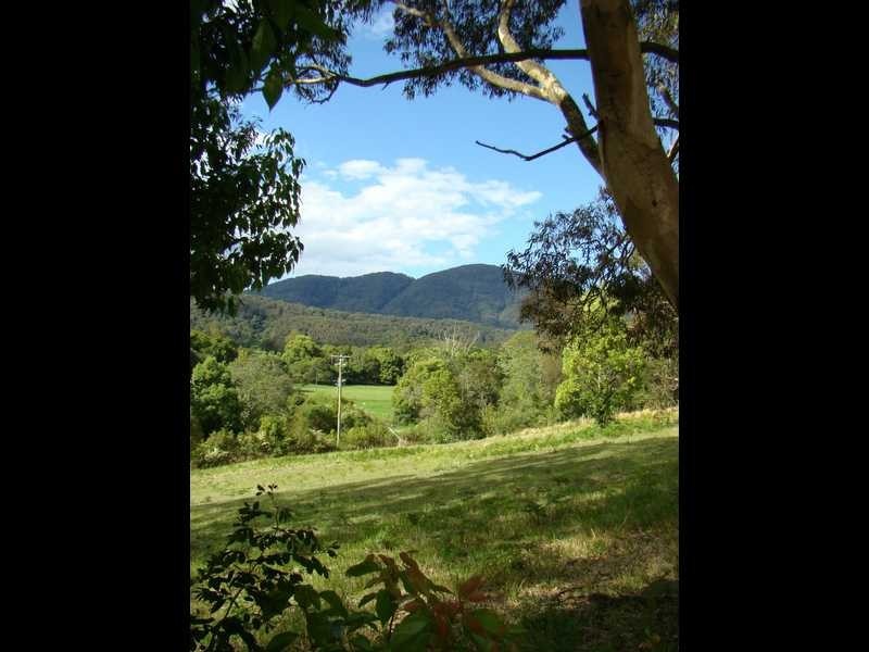 Stewarts River NSW 2443