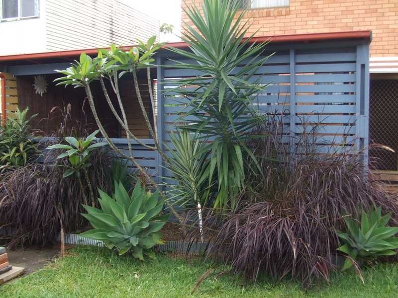 479 Ocean Drive, Laurieton NSW 2443