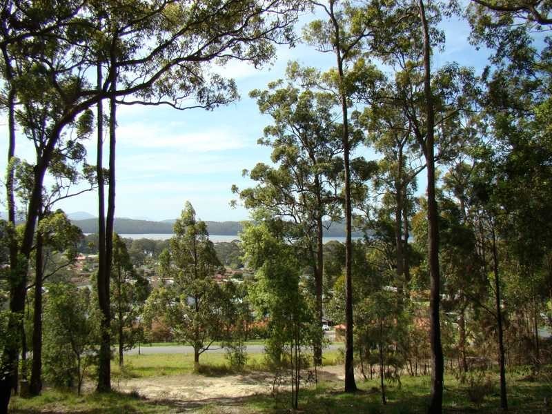 Laurieton NSW 2443