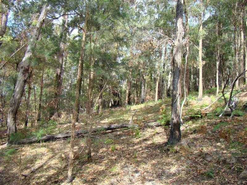 Laurieton NSW 2443