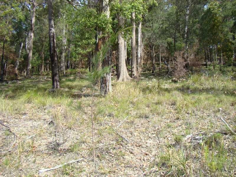 Laurieton NSW 2443