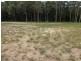 Laurieton NSW 2443
