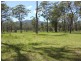 Kew NSW 2439