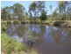 Kew NSW 2439