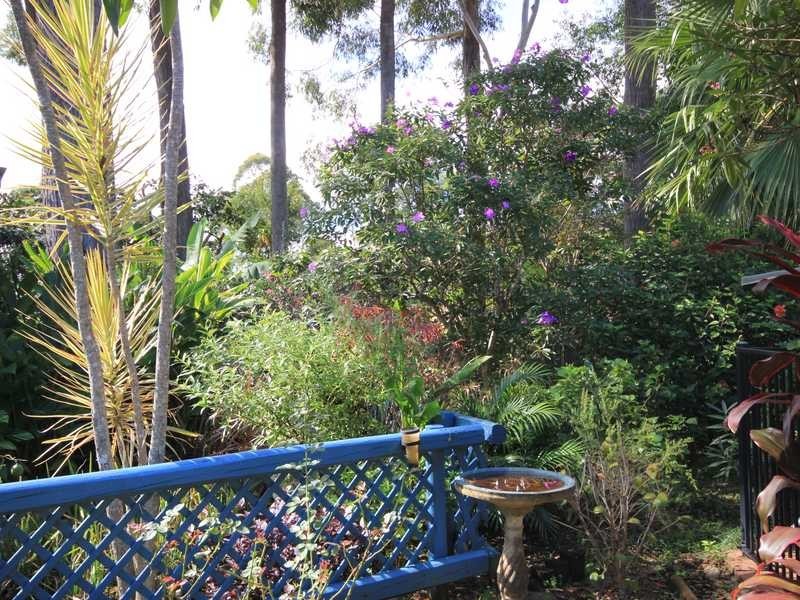 Laurieton NSW 2443