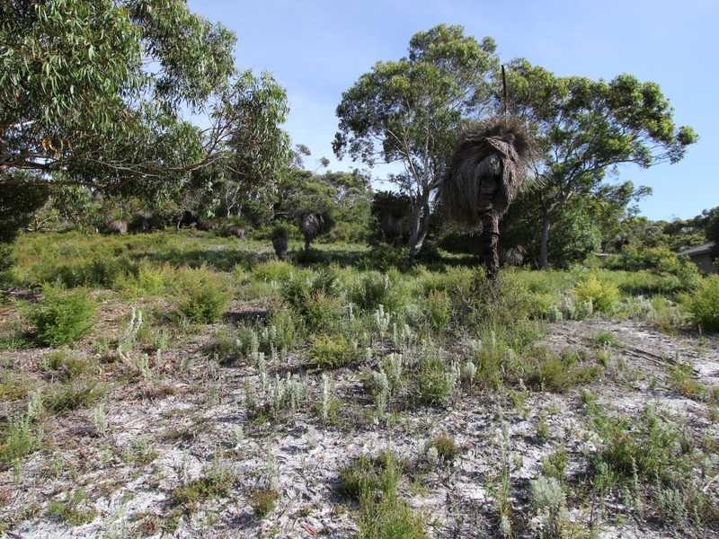 Lot 78 Prince of Wales Drive, Dunbogan NSW 2443