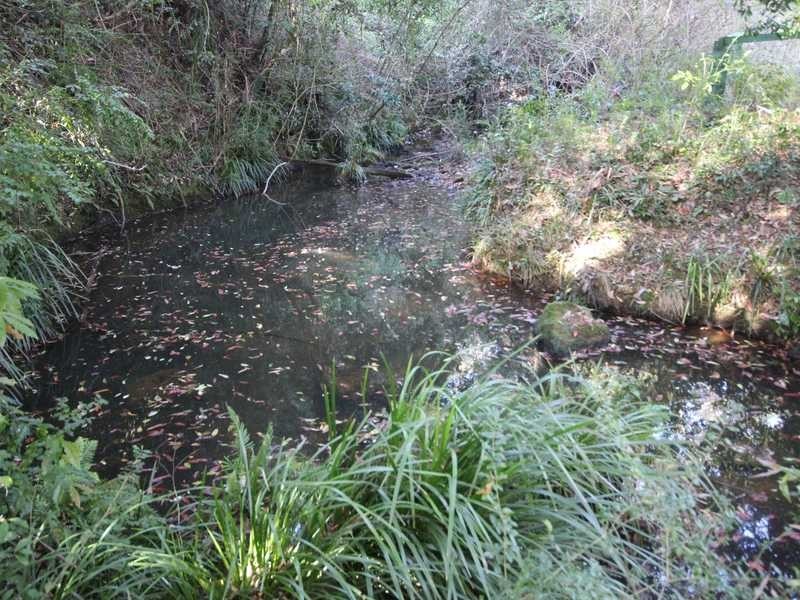 Hannam Vale NSW 2443