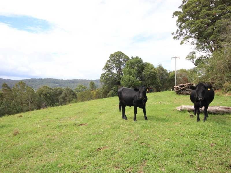 1982B Hannam Vale Road, Lorne NSW 2439