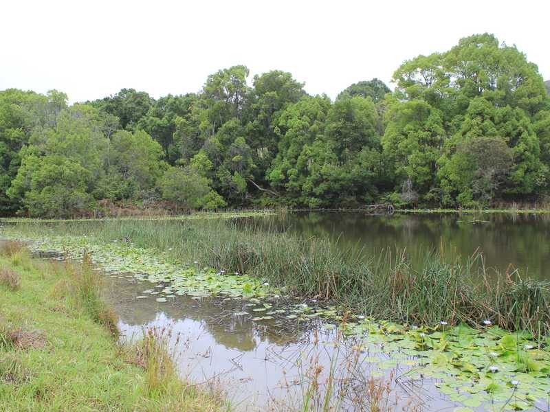 1982B Hannam Vale Road, Lorne NSW 2439