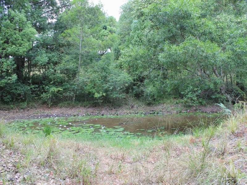 1982B Hannam Vale Road, Lorne NSW 2439