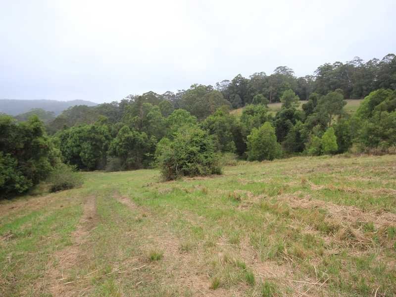 1982B Hannam Vale Road, Lorne NSW 2439