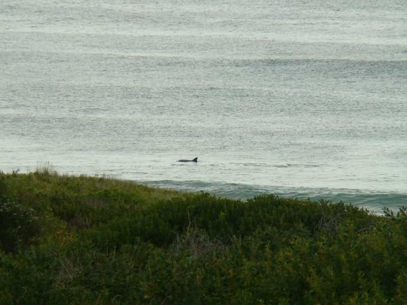 2 Seaview Avenue, Dunbogan NSW 2443